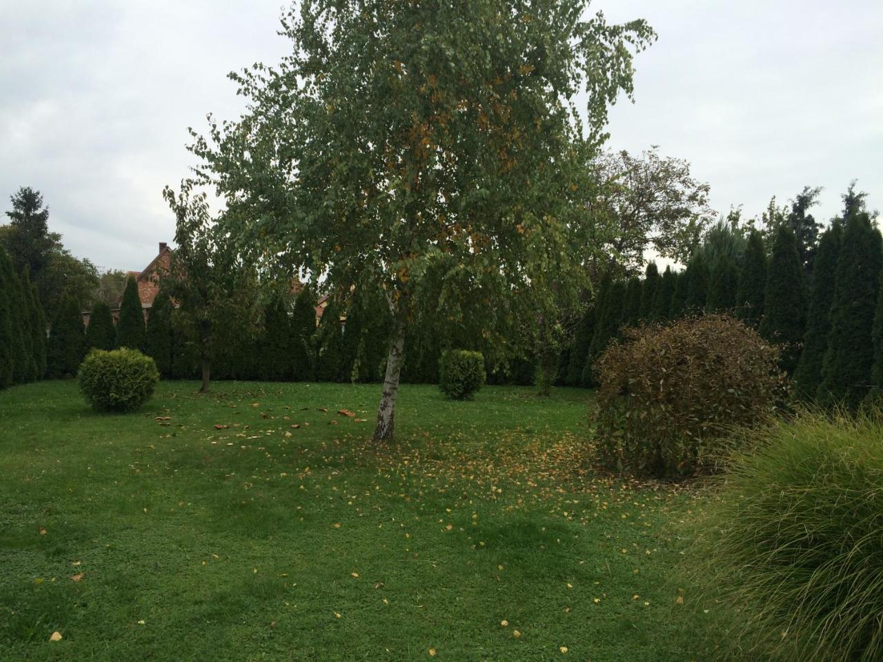 Silentium Garden Apartman Sárvár 外观 照片